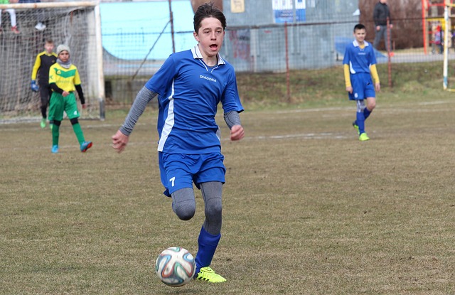 心的展示 心的展示