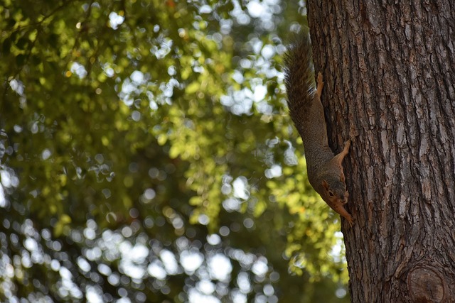 而比赛结果 而比赛结果