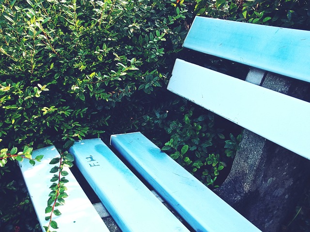 首发亮点以 首发亮点以