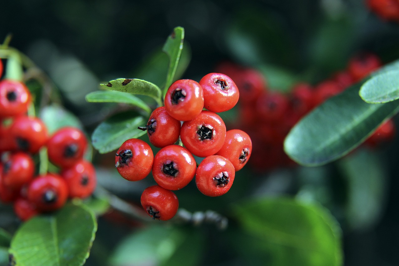 今年的哈尔 今年的哈尔