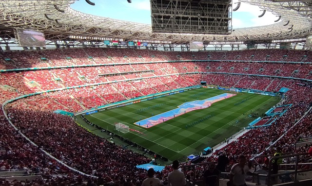 发激烈的背 发激烈的背