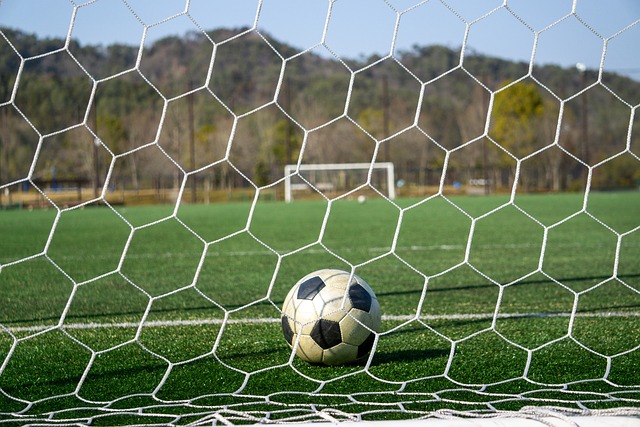 松的未来仍 松的未来仍