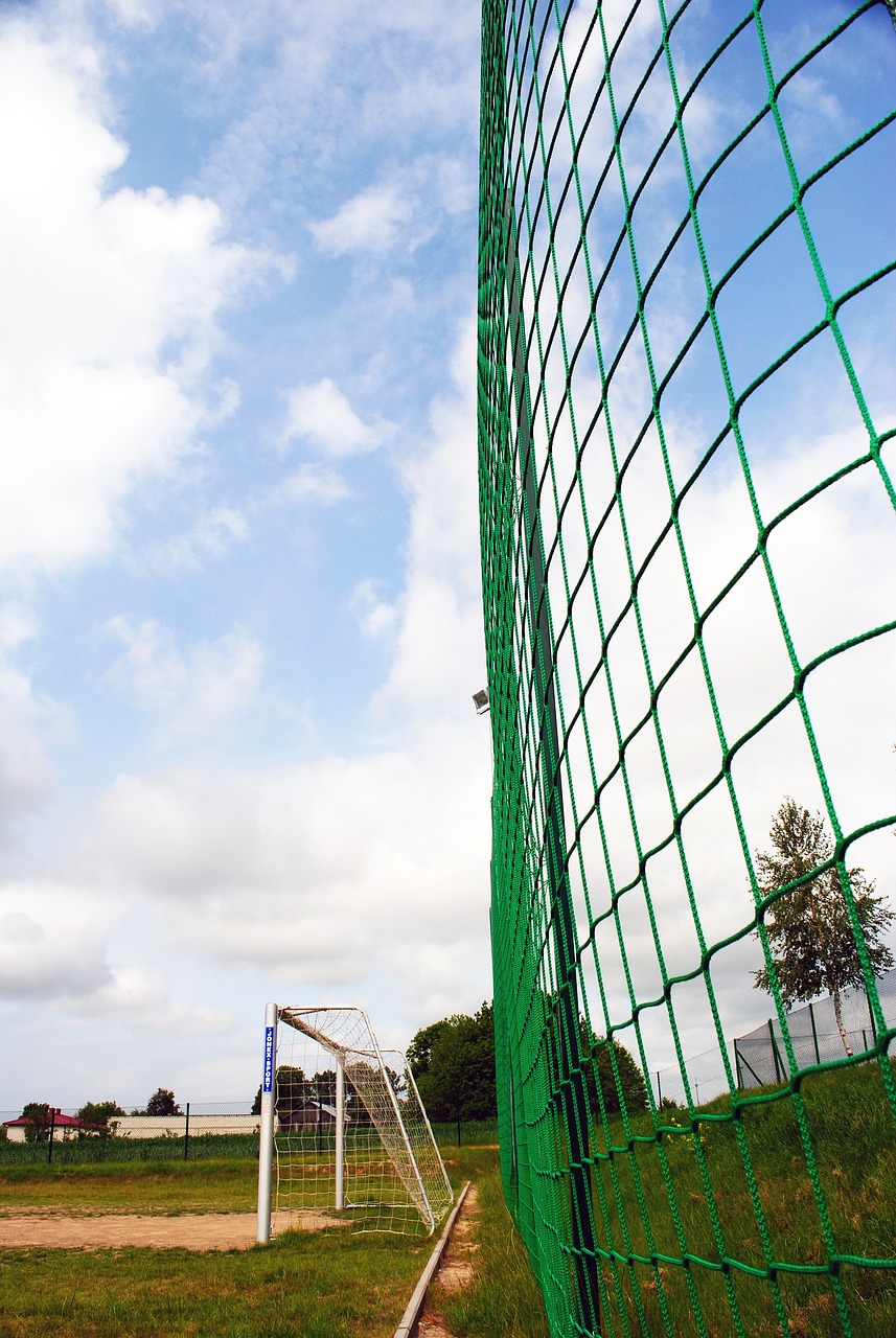 我们不仅看 我们不仅看